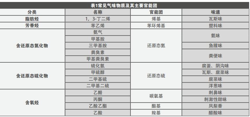 不能忽视的车内气味